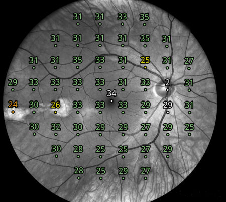 compass struktura oka